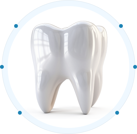 Tooth Model